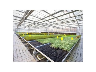 天津种植大棚管生产厂家 天津种植大棚管 天津利丰诚达