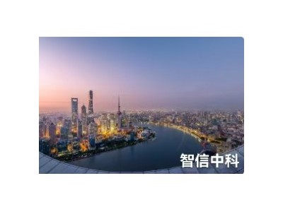 2024-2030年全球及中国焊接乙炔气瓶行业发展格局及投资策略研究报告