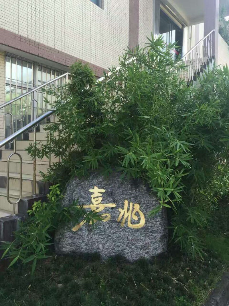 珠海加嘉印商务快印印刷厂承接包装彩盒彩箱广告画册礼品袋印刷